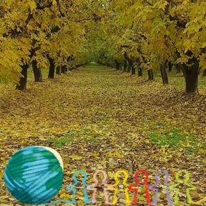 Meet your Posher, Jose